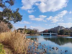 -新江湾城公园