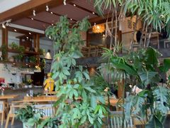 -山茶云南菜(永安里店)
