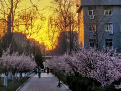 -山东师范大学(千佛山校区)