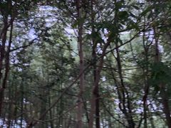 -大食代美食广场(上海中心店)