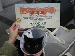 -瑞派天使宠物医院·神经外科·骨科·核磁(洛川中路店)