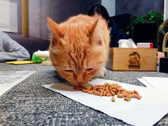 -悦河马家庭桌游剧本馆(朝阳门店)