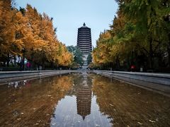 -玲珑塔公园