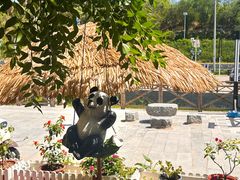 -京城小江南·北京烤鸭·江南土菜·白鱼(中关村店)