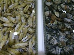 android_upload_pic-老虎滩船说·海胆水饺·大连海鲜(老虎滩店)