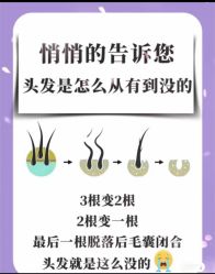 -诗碧曼·头疗养发馆