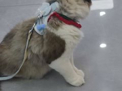 -CityOn熙地港（西安）购物中心