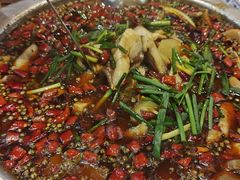 -乡土特色.冷锅鱼.牦牛肉汤锅