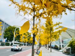 -中华艺术宫(上海美术馆)