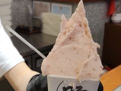 -野人先生Gelato(上海长宁龙之梦店)