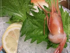北极甜虾刺身-村上一屋·亚洲菜融合小馆(南楼店)