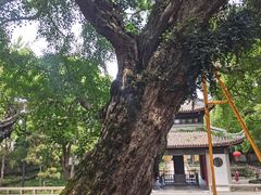 -无锡惠山寺