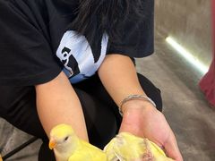 -吾叁·吉趣鸟咖(万科店)