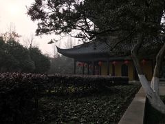 -常熟方塔园