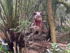 -呀路古热带植物园