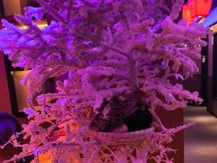 -山河屯铁锅炖(哈西站店)