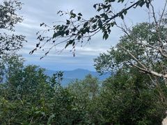 -白草畔自然风景区