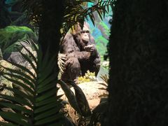 -国家自然博物馆