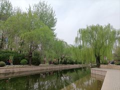-元大都城垣遗址公园