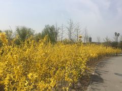 -永定河休闲森林公园