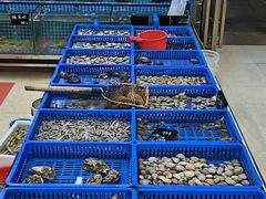 -双月饭店·20年老字号(新村店)
