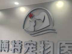 -博特宠物医院24h犬猫全科.骨科·异宠