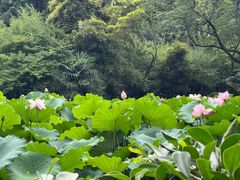 -成都杜甫草堂博物馆