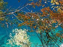 -叠溪松坪沟景区