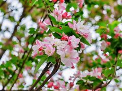 -元大都城垣遗址公园