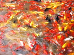 -泰安地下龙宫景区