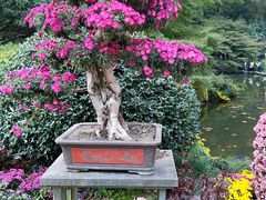 -杭州植物园