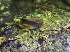 -叠溪松坪沟景区