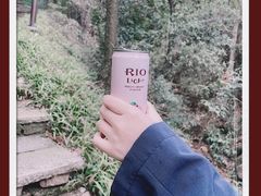 -杭州半山国家森林公园