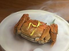 -龙吟山房(青龙山庄店)