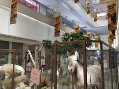 -龙湖西安曲江天街