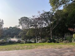 -昆山城市公园
