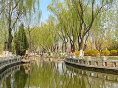 -泰丰公园