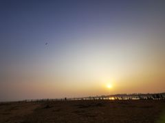-刘家湾赶海园