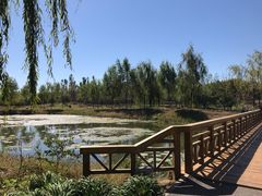 景点-东郊湿地公园