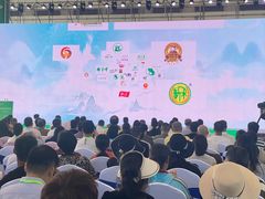 -南宁国际会展中心(会展东博文化旅游区)