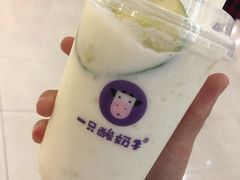 -一只酸奶牛(八一路店)