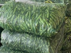 -江杨农产品批发市场