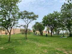 -盘龙城国家考古遗址公园