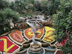 -南山植物园