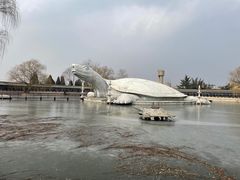 -东方巨龟苑景区