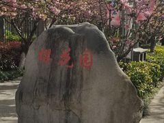 -高东镇樱花园