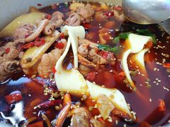 -晓彭肥肠鸡·泡椒鸡火锅(水木天地店)