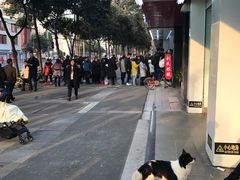 -闻酥园(青羊区文殊坊店)