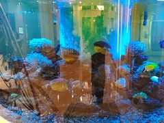 -碧中海汤泉汗蒸酒店