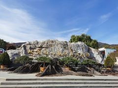 -北京西山国家森林公园